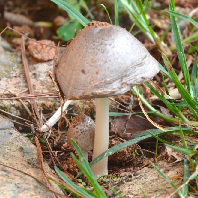 THE FRAYED ONE WELCOMING THE NEW ONE