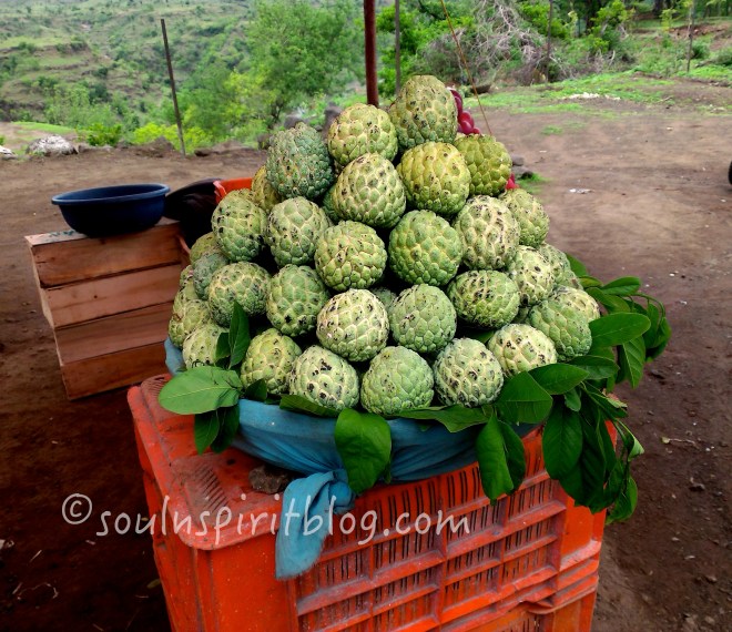 pastel green jack fruit, very sweet to eat