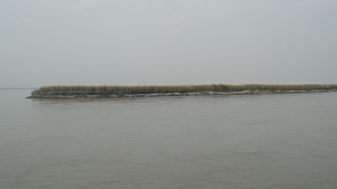 DSC06301