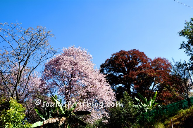 I used to sit and watch for hours....