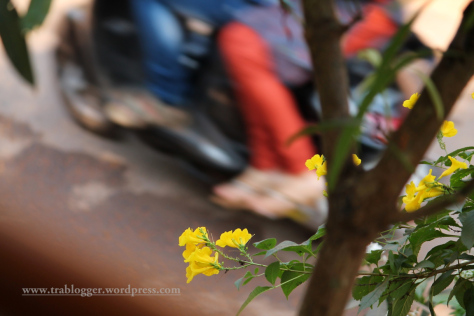 img_2654-fileminimizer