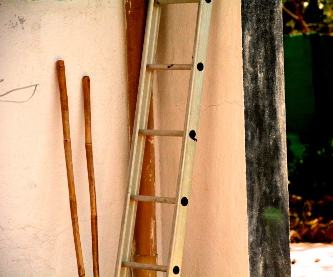 wooden ladder
