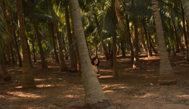 Catch me if you can ! 