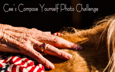 banner-compose-yourself-challenge2-2