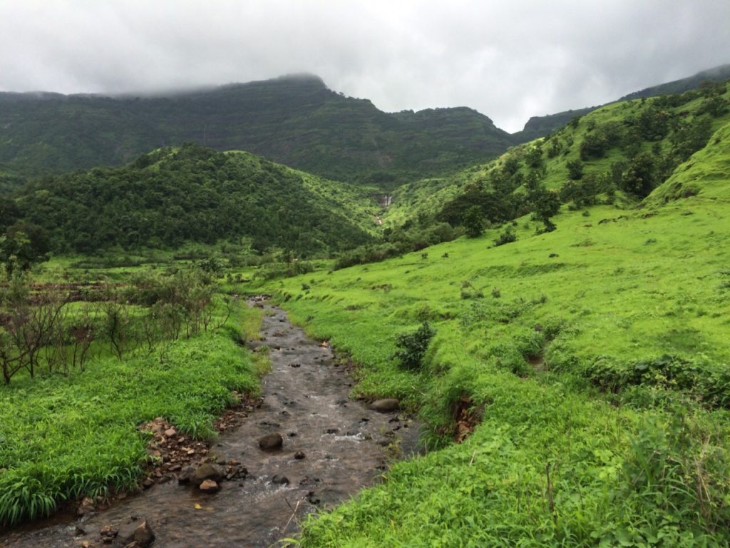 Nature walk for Positive Aura